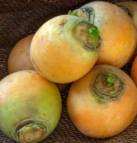 Majroe 'Golden Ball'