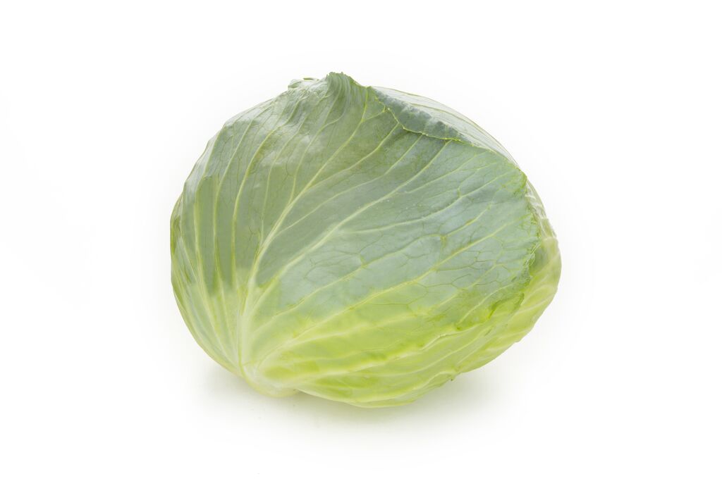 Hvidkål 'Madalya'