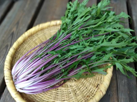 Mizuna 'Purple Mizuna' - økologisk dyrket frø