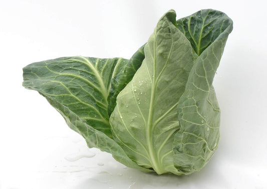 Spidskål 'Sonsma'