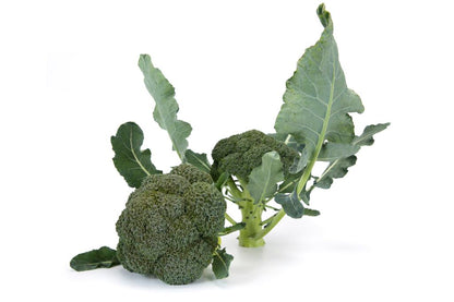 Broccoli 'Vicario"