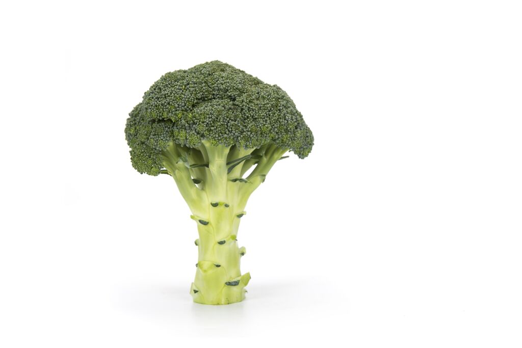 Broccoli 'Vicario"