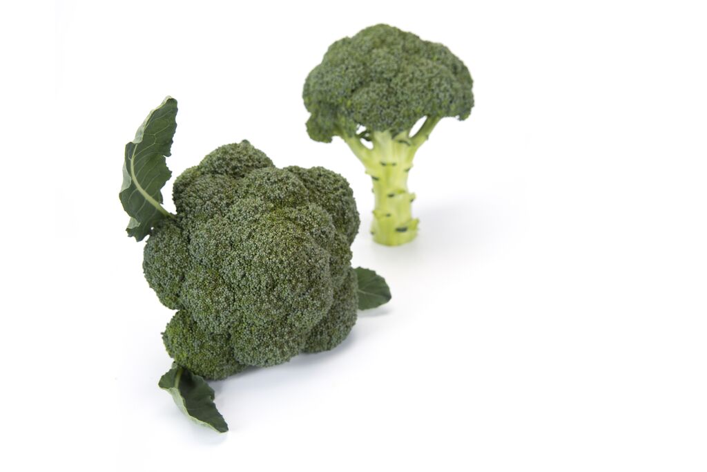 Broccoli 'Vicario"