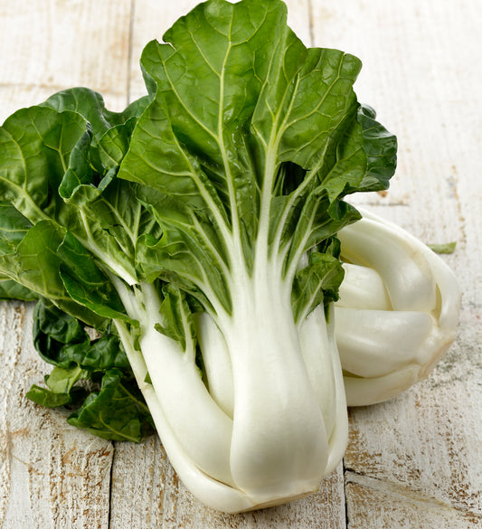 Pak Choi 'Compak'