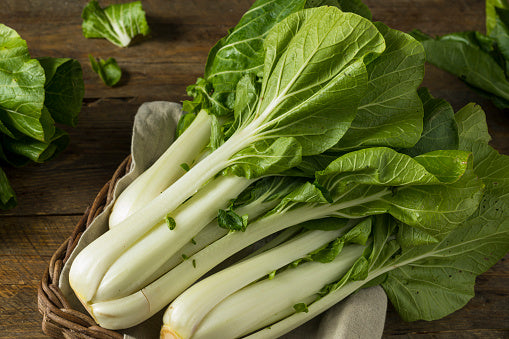Pak Choi 'Joi Choi'